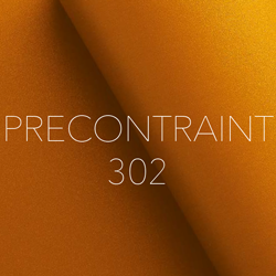 PRECONTRAINT.png